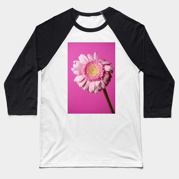 Pink flower on a pink background Baseball T-Shirt by Shadow3561